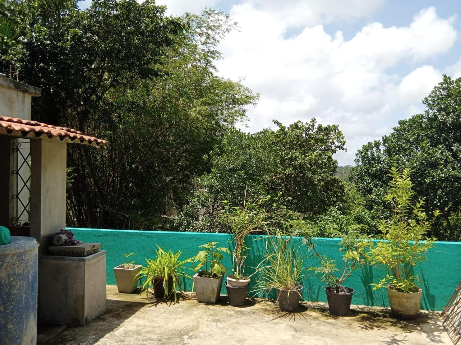 Cecilia Unawatuna Room photo